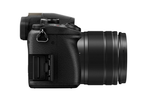 Panasonic Lumix DMC-G80 + 12-60mm f/3.5-5.6.Picture4
